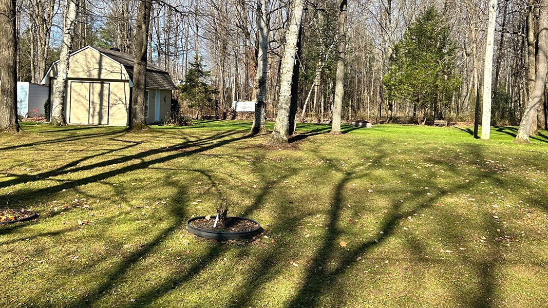 Réalisation de BeAngel Sherbrooke Magog