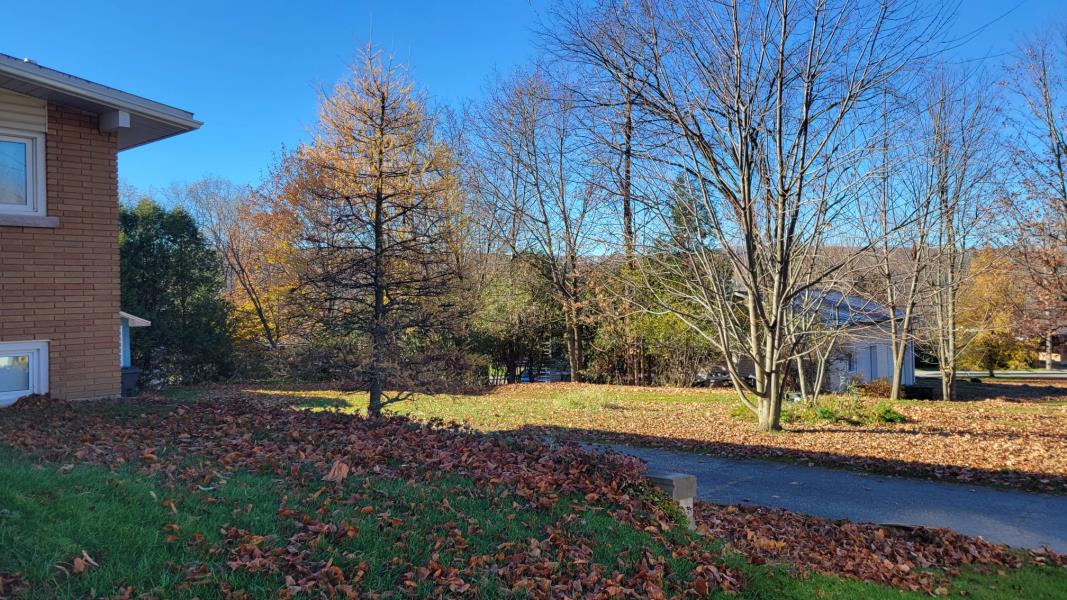 Réalisation de BeAngel Sherbrooke Magog